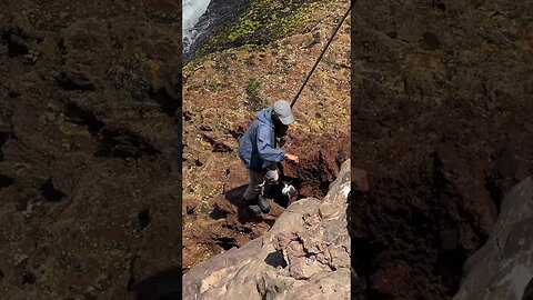 الرايس علي مقوس لشرغو زين اللهم بارك🐟🐟