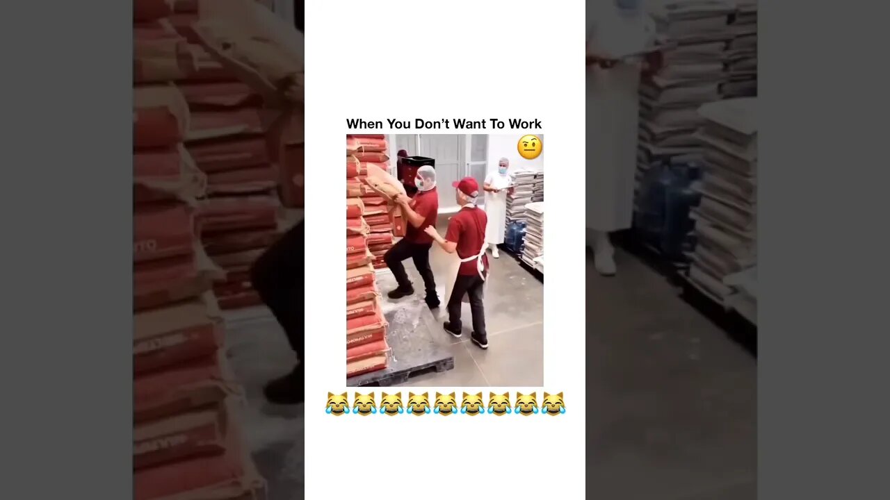 OH nah! He Doing Too Much Of Nothin 😹😹 #viral #shorts #youtubeshorts #subscribe #reels #music #fun