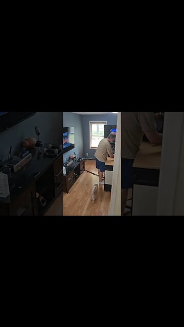 Setting up Studio Struts for @AnotherDumbShow