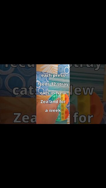 they call me the kitty crusader