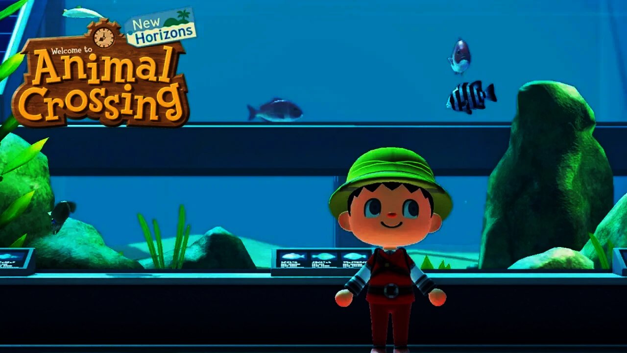 Building & Exploring the Museum in Animal Crossing New Horizons