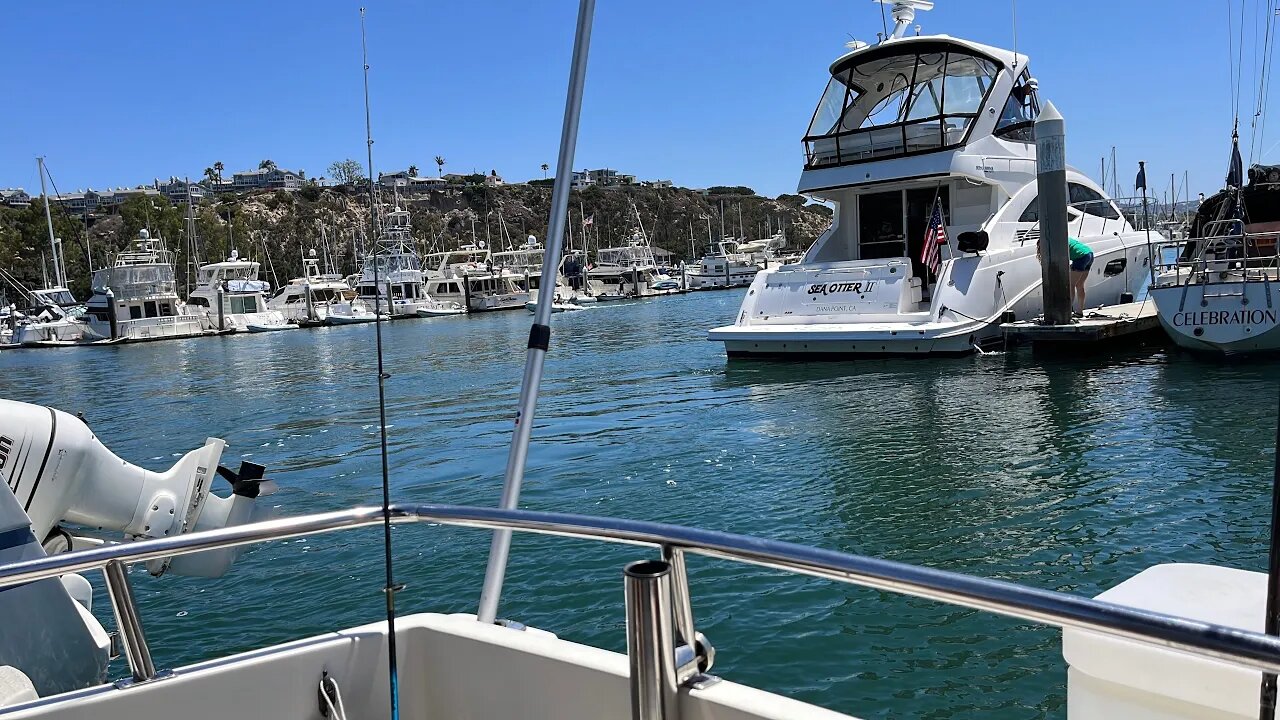 Dana Harbor Fishing and Cooking (Unfortunately, not Catch and Cook)