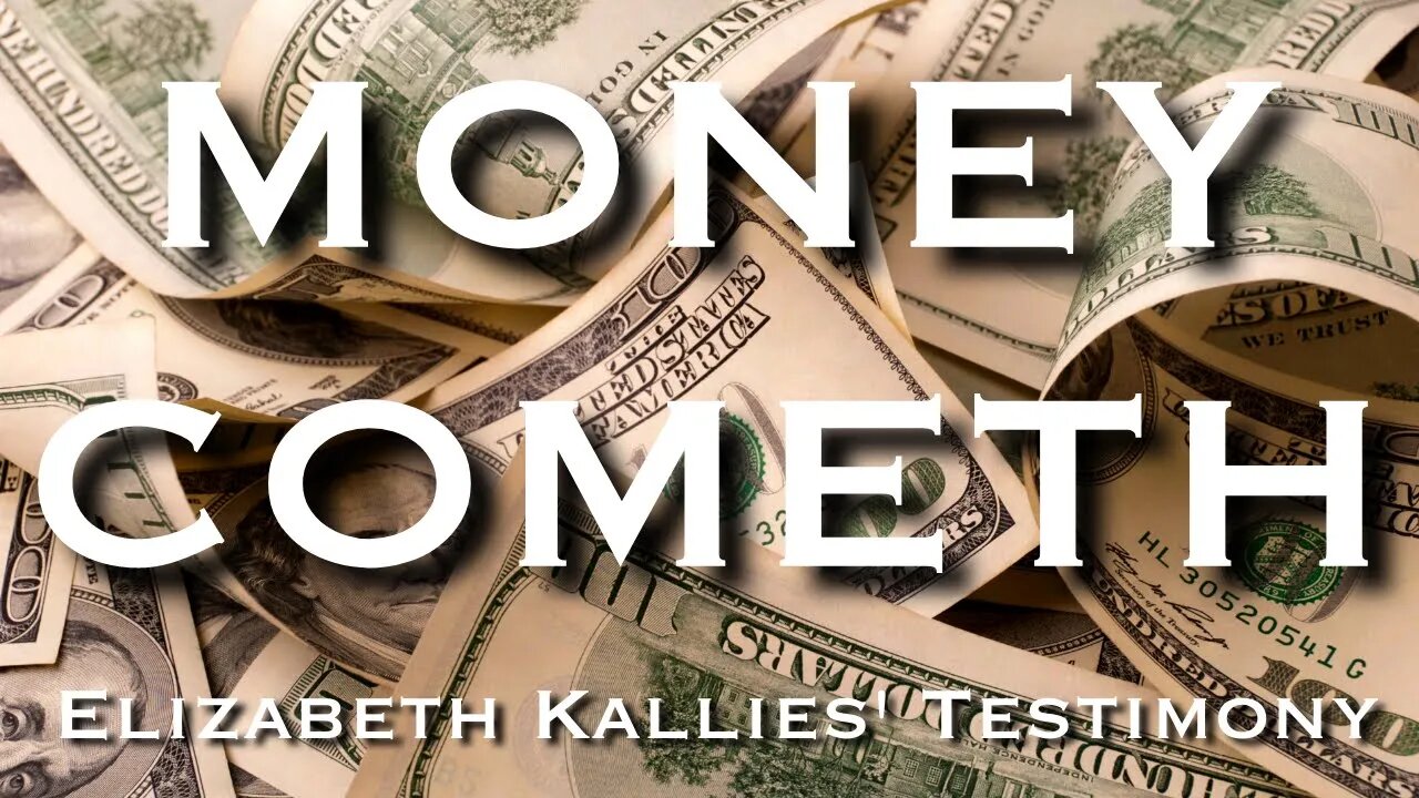 MONEY COMETH - Elizabeth Kallies' Testimony #testimony