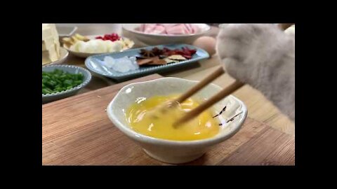 Chinese Cooking Cute Cat