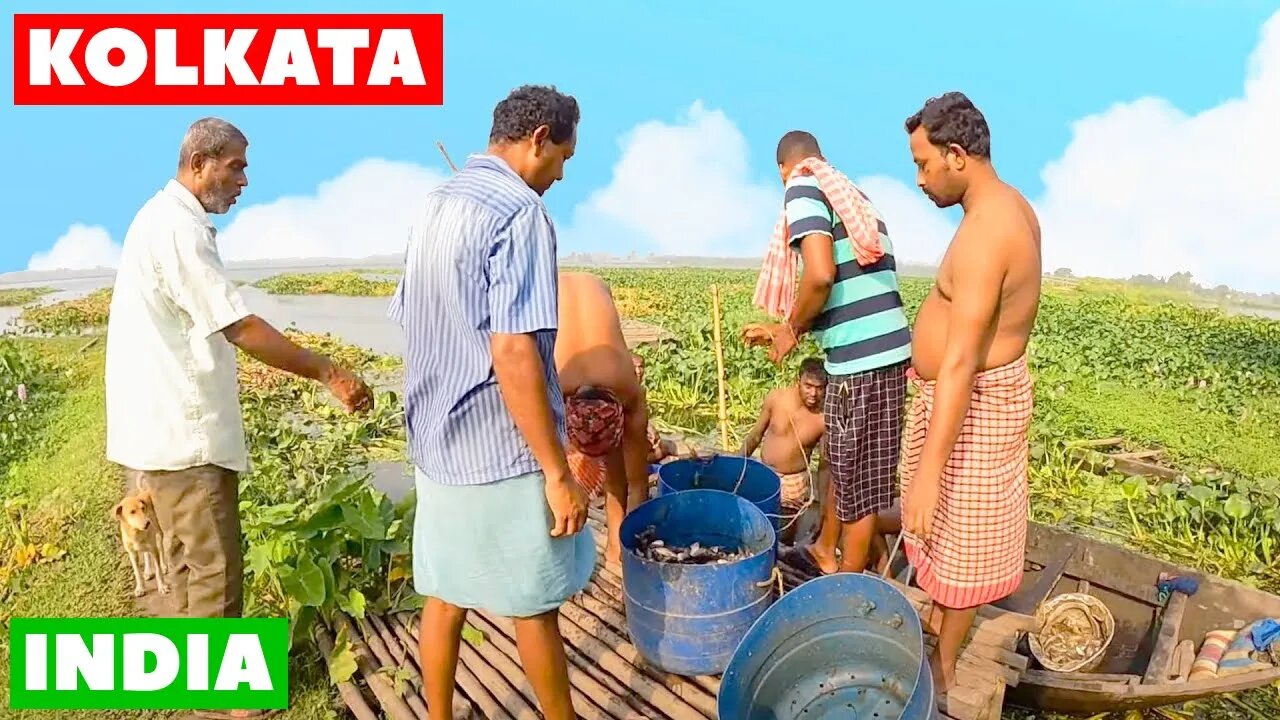 Foreigner explores Kolkata wetlands 🇮🇳