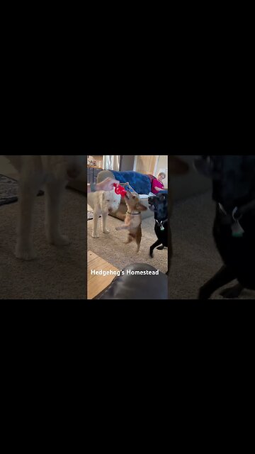 You can’t have a it