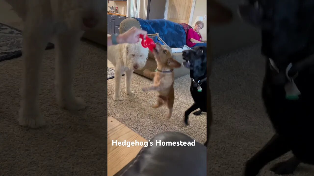 You can’t have a it