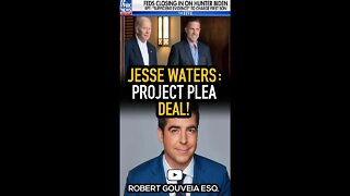 Jesse Waters: Hunter Rejected a SWEET Plea Deal! #shorts