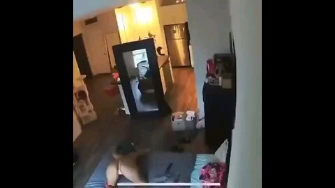 funny videos