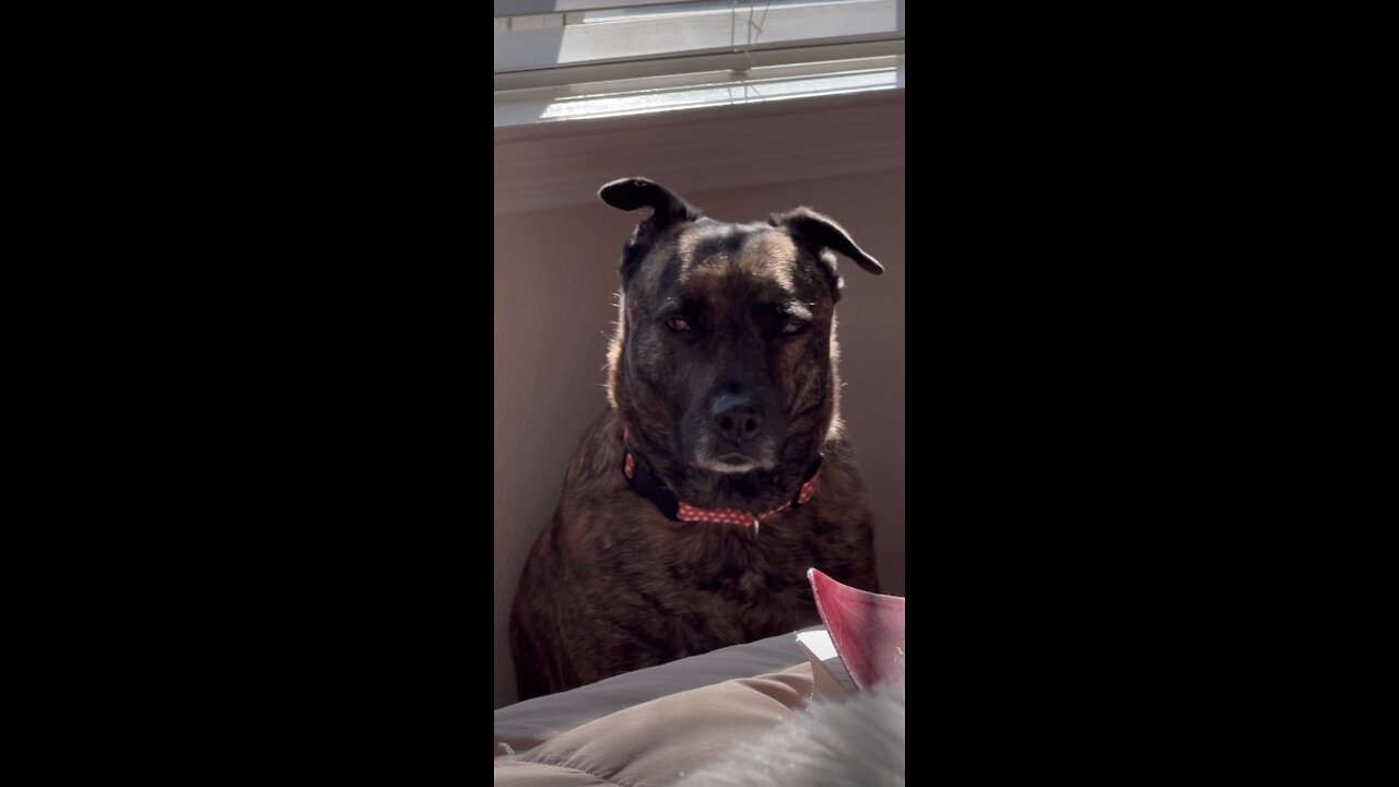 My baby