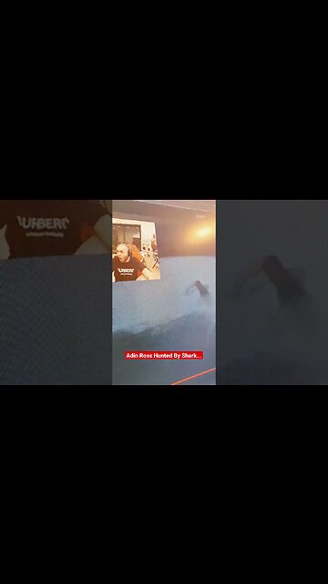 Adin Ross Hunted By A Shark Part 1