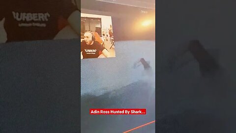 Adin Ross Hunted By A Shark Part 1