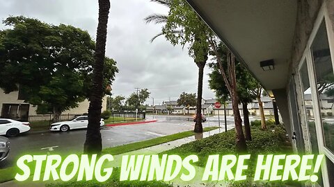 Strong winds have it Anaheim! Hurricane Hilary! #jesus #bible #god #faith #jesussaves #endtimes