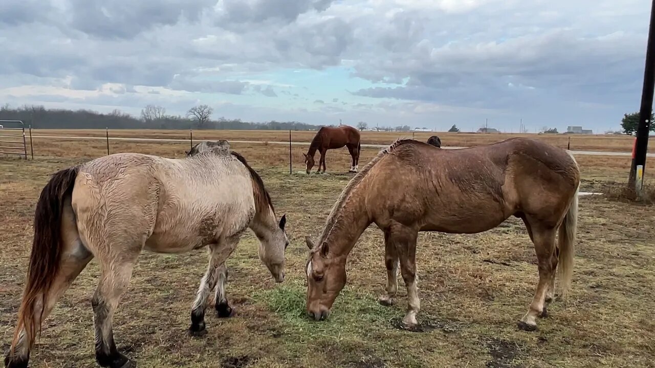 Happy 2022 - Bringing In The New Year With Hay