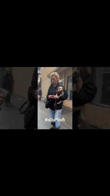 The Dog Looks So Scared