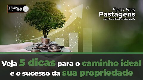 Foco nas Pastagens hoje com 5 dicas para o caminho ideal e o sucesso da sua propriedade