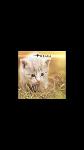 #uplifting #cute #music #filmmusic #soundtrack