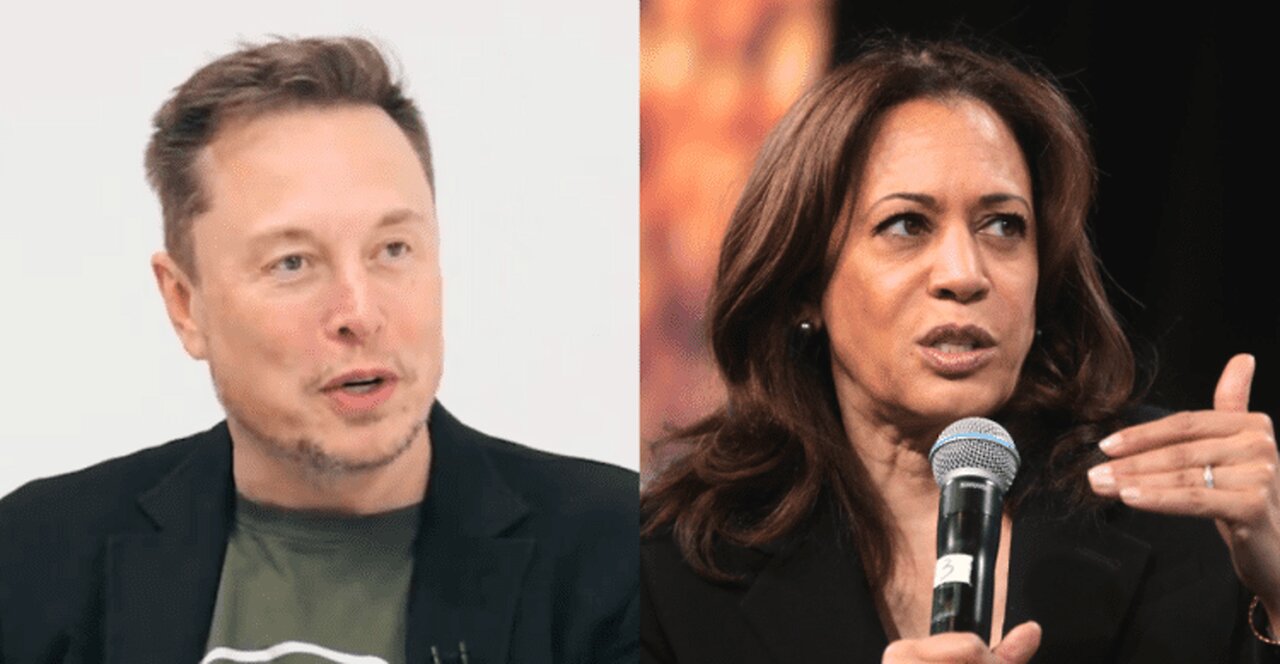 Elon Musk Notices 18 of the 19 States Harris Won Don’t Require Photo ID at Polling Places