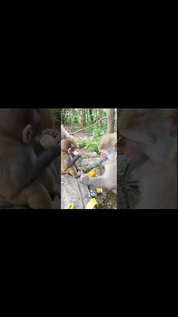 Most Amazing and trending video||relaxing your mind||trendig videos|| #shorts #trending #viral #live