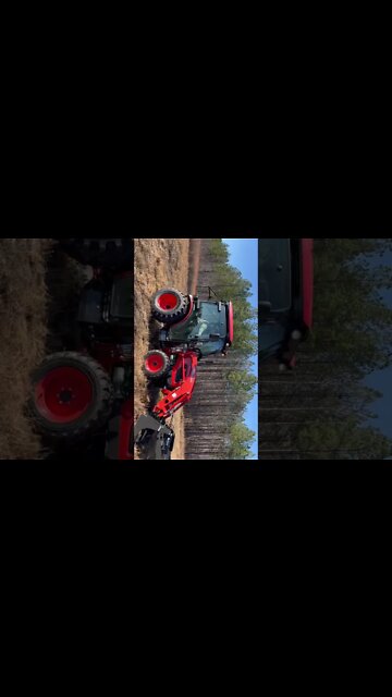 BOTHER-IN-LAW GOT A NEW TRACTOR - Hedgehog Homestead has the BEST outdoorground tractor!