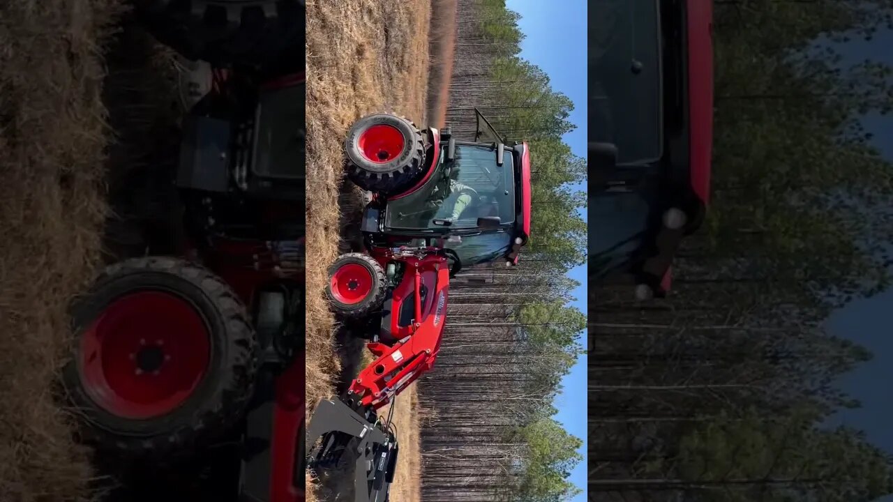 BOTHER-IN-LAW GOT A NEW TRACTOR - Hedgehog Homestead has the BEST outdoorground tractor!