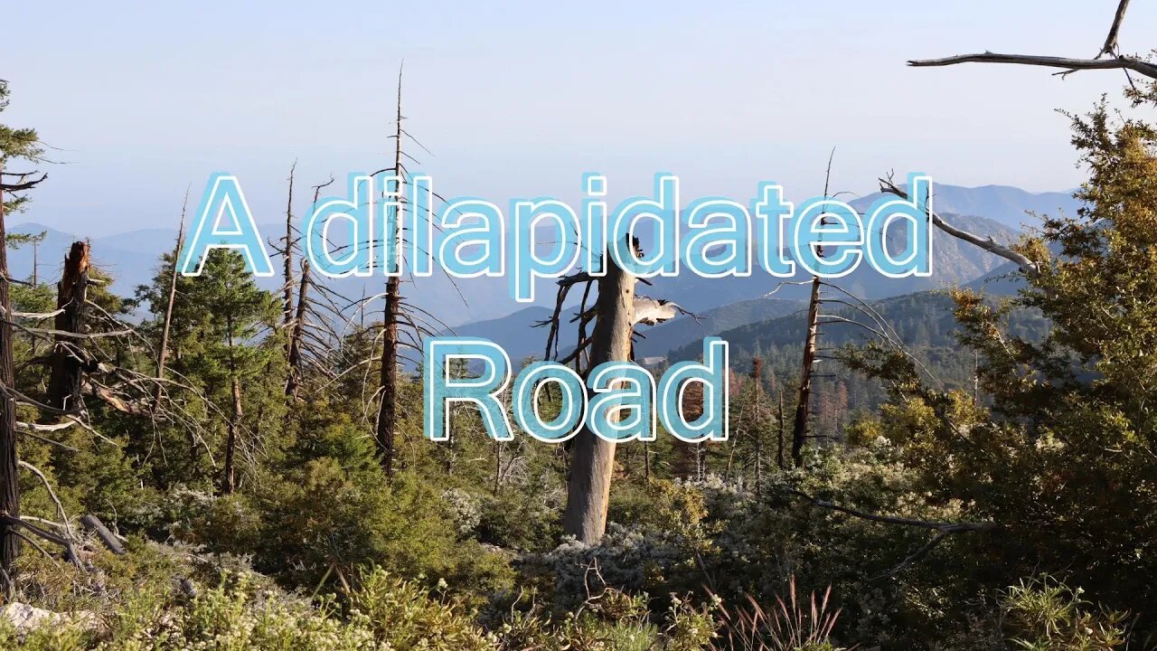 A Dilapidated Road