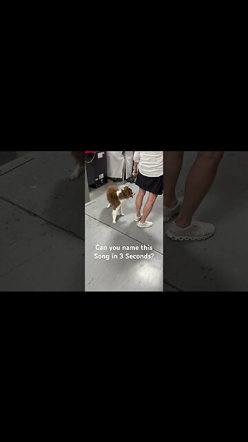 Can you name this song in three seconds? Does the Opening Laugh give it away? ￼