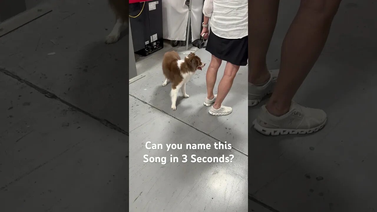 Can you name this song in three seconds? Does the Opening Laugh give it away? 