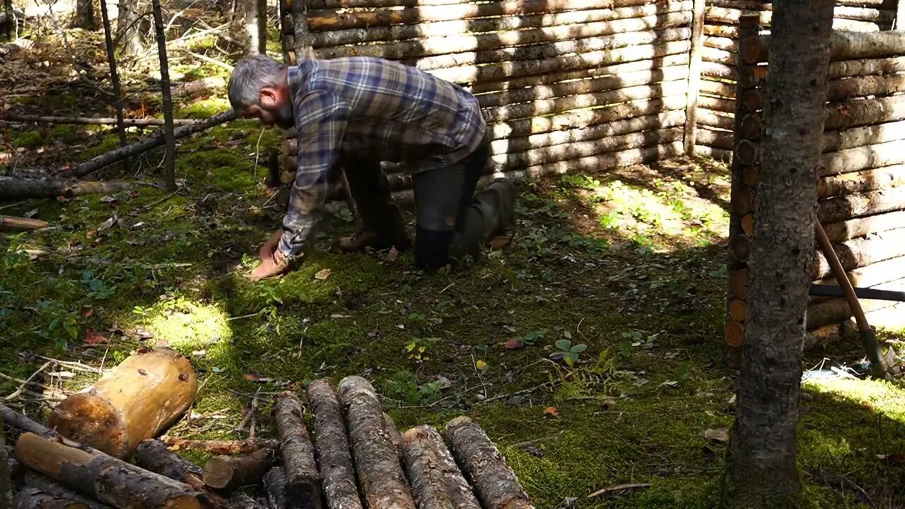 14+The jungle builds a survival cabin