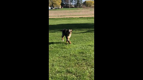 Getting happy about yard work