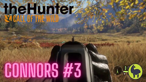 The Hunter: Call of the Wild, Connors #3