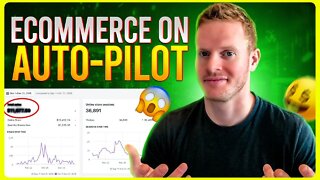 Anti 9-5 Club: Can you set up your own ecommerce store for passive income?