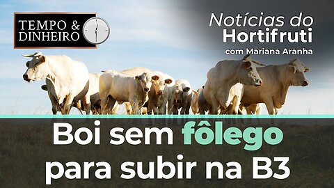 Boi sem fôlego para subir na B3 e no mercado físico que segue lento na segunda quinzena de abril
