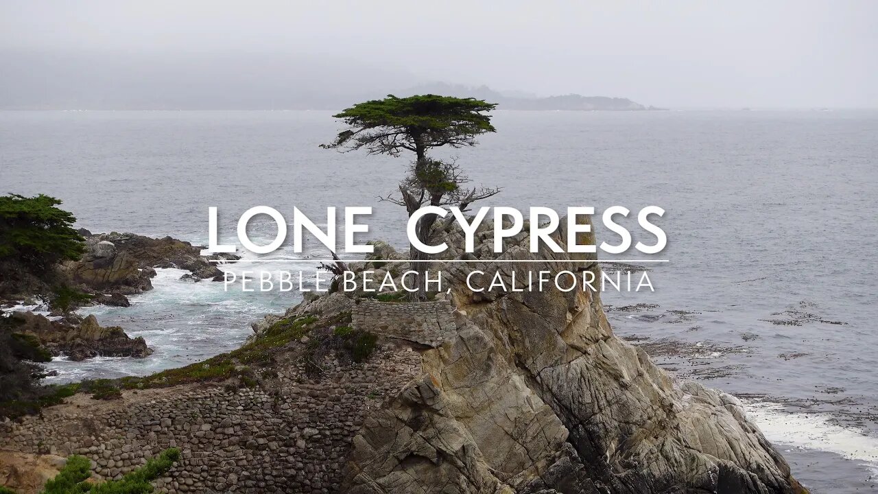 Majestic Lone Cypress Tree at Pebble Beach | 4K Nature Relaxation Video