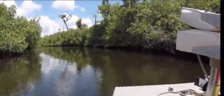 Program to restore Loxahatchee River