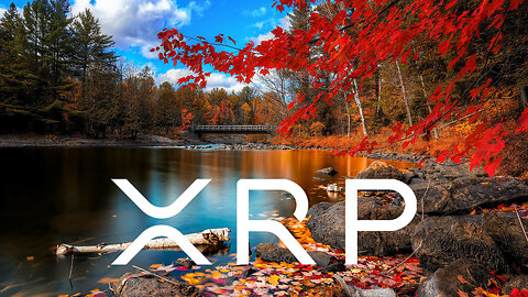 XRP RIPPLE PLEASE WATCH !!!!!!!!!!!!!