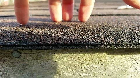 24 seconds of roof scratching glory