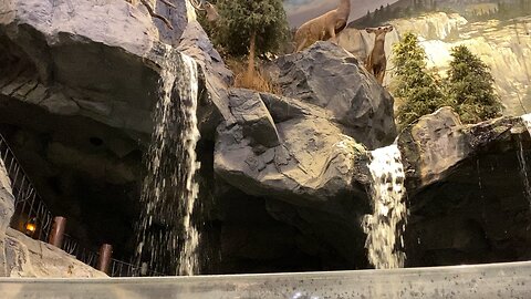 Beautiful waterfall in Bass Pro Shops