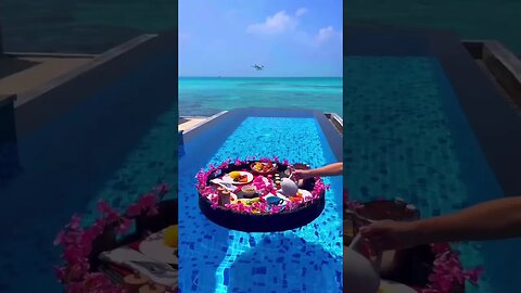 Vacation.Cheap Hotels! #vacation #travel #fly #hotel #travelman #travelvlog #flowers #subscribe