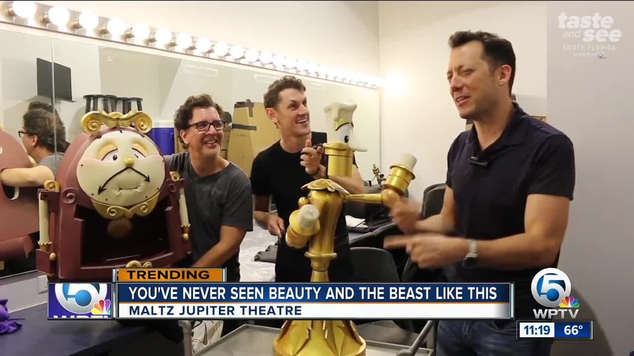 You've never seen Beauty & the Beast like this