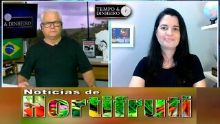 Noticias de Hortifrúti - com Mariana Aranha
