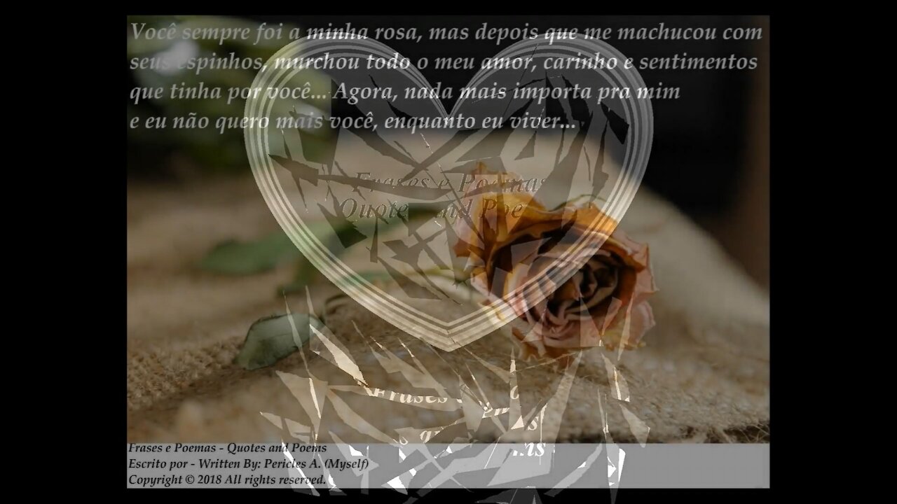 Você sempre foi a minha rosa, depois que machucou com espinhos... [Frases e Poemas]
