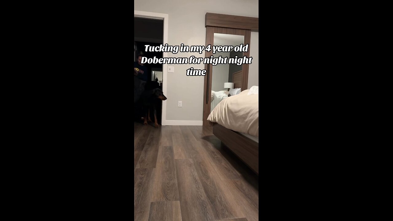 It's Time To Go To Sleep My Puchy