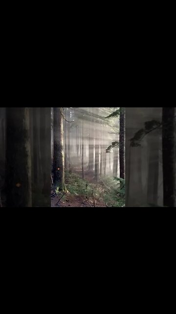 Satisfying video Beautiful Nature