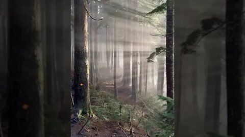 Satisfying video Beautiful Nature