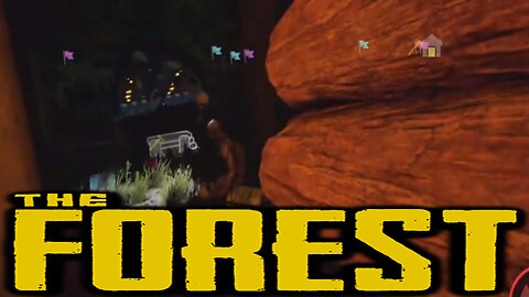 Why I Love The Forest In One Scene