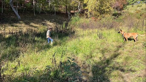swamp boots