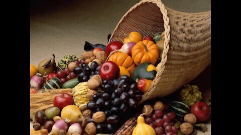 Trying to cancel Thanksgiving, also Book review