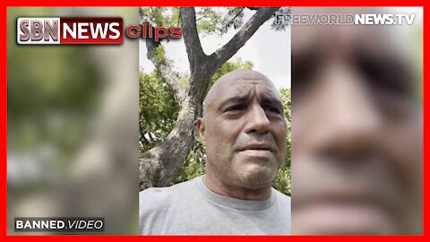 Joe Rogan Successfully Treats Himself With Ivermectin - 3378