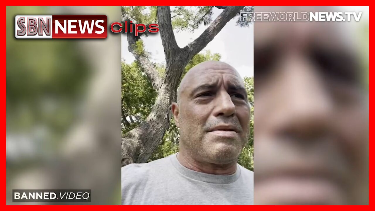 Joe Rogan Successfully Treats Himself With Ivermectin - 3378